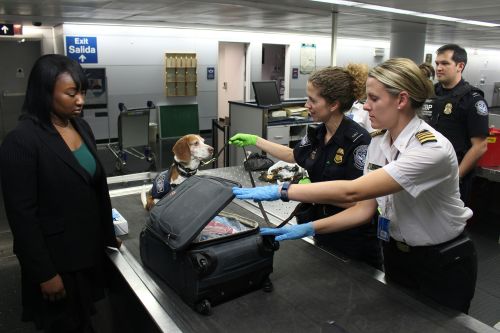 Immigration